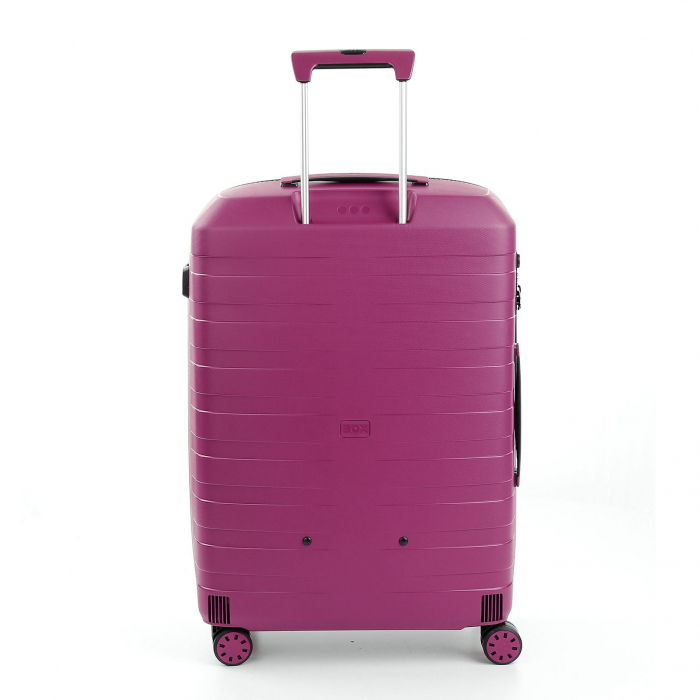 Troler Mediu Box Young-big